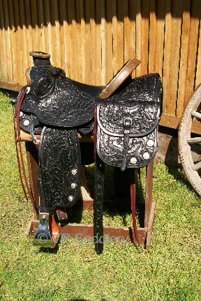 Side View With Saddle Bags